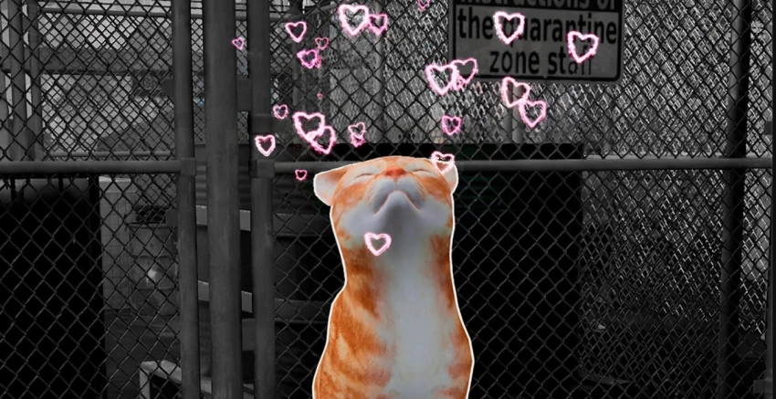 Менее чем за месяц продажи Quarantine Zone: The Last Check превысили 750 тысяч копий